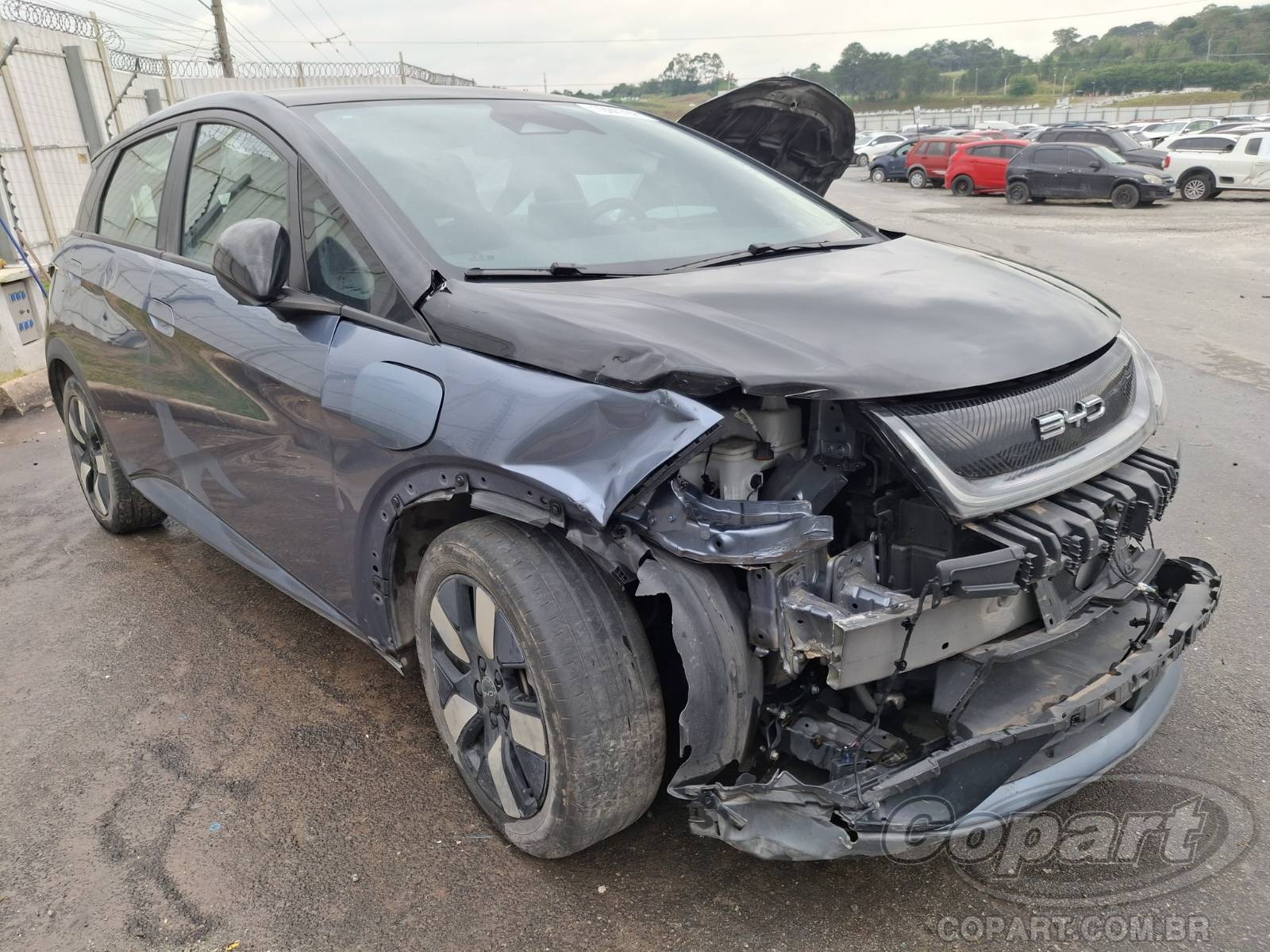 Veículo BYD Dolphin BYD Dolphin Plus EV 150 kW 2025 em leilão