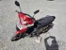2022 SHINERAY 50Q 