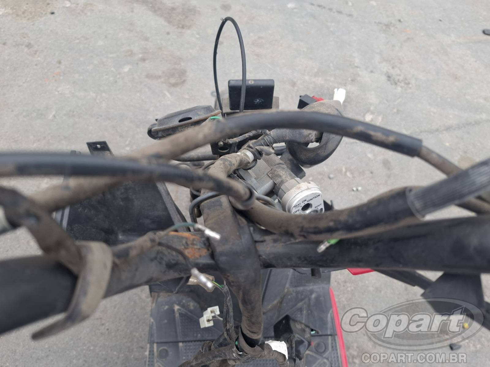 2019 HONDA ELITE — foto 9 de 11