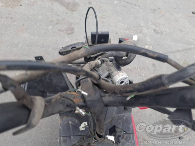 2019 HONDA ELITE 