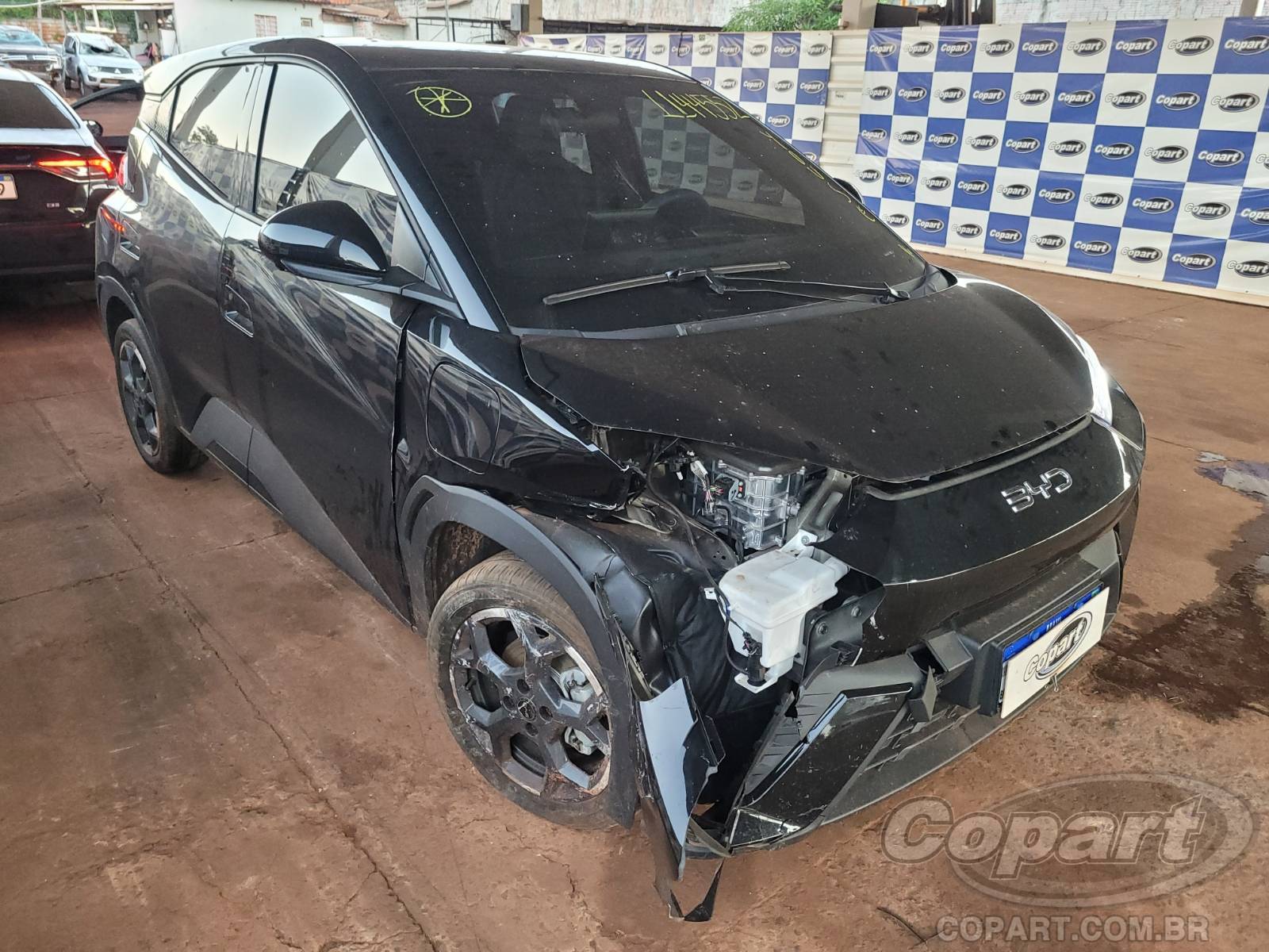 Veículo BYD DOLPHIN MINI 2026 BYD DOLPHIN MINI 2026 em leilão