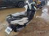 2025 HONDA ELITE 