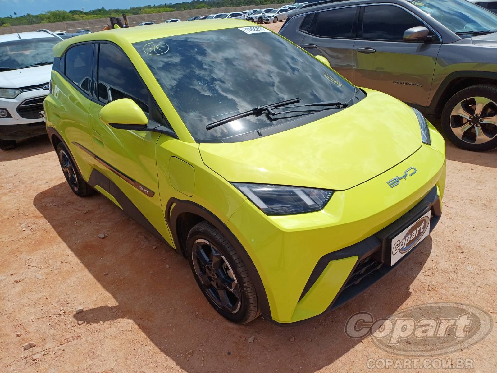 BYD DOLPHIN MINI