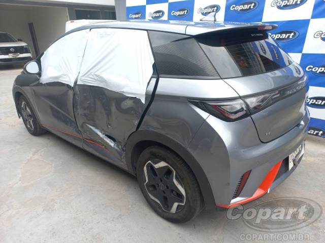 2024 BYD DOLPHIN 