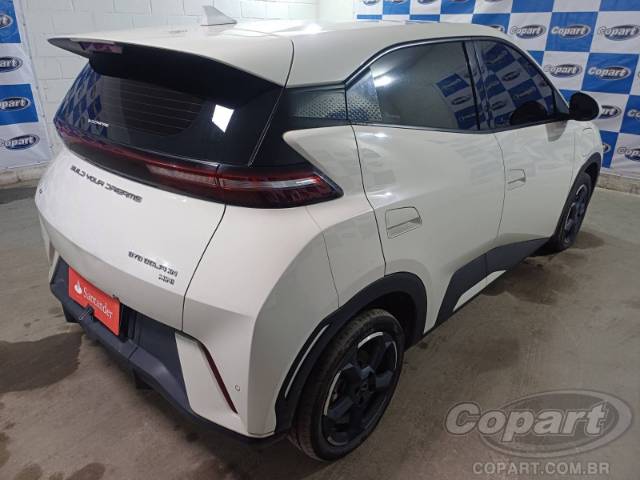 2025 BYD DOLPHIN MINI 