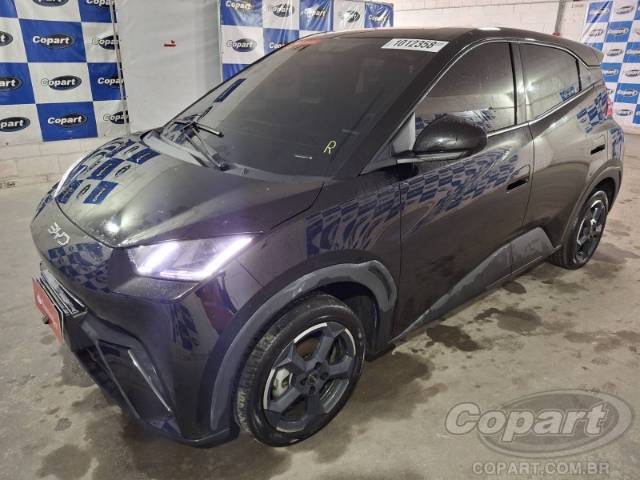 2025 BYD DOLPHIN MINI 