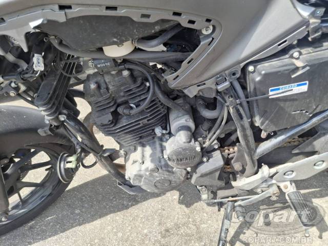 2024 YAMAHA FZ25 FAZER 