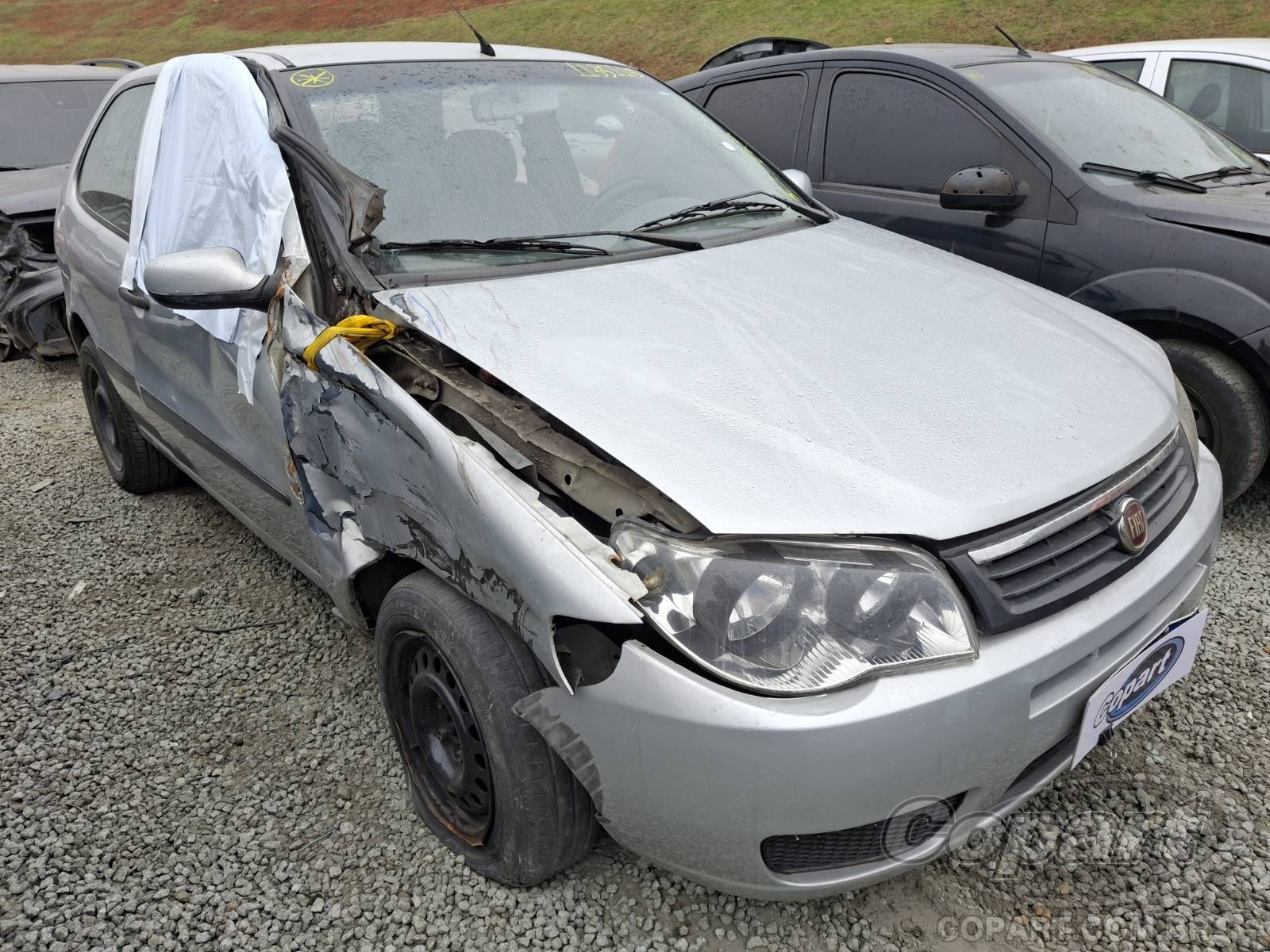 Fiat Palio Palio Weekend Trekking 1.4 Fire Flex 8V