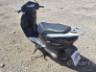 2010 HONDA LEAD 110 