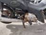 2013 HONDA BIZ 