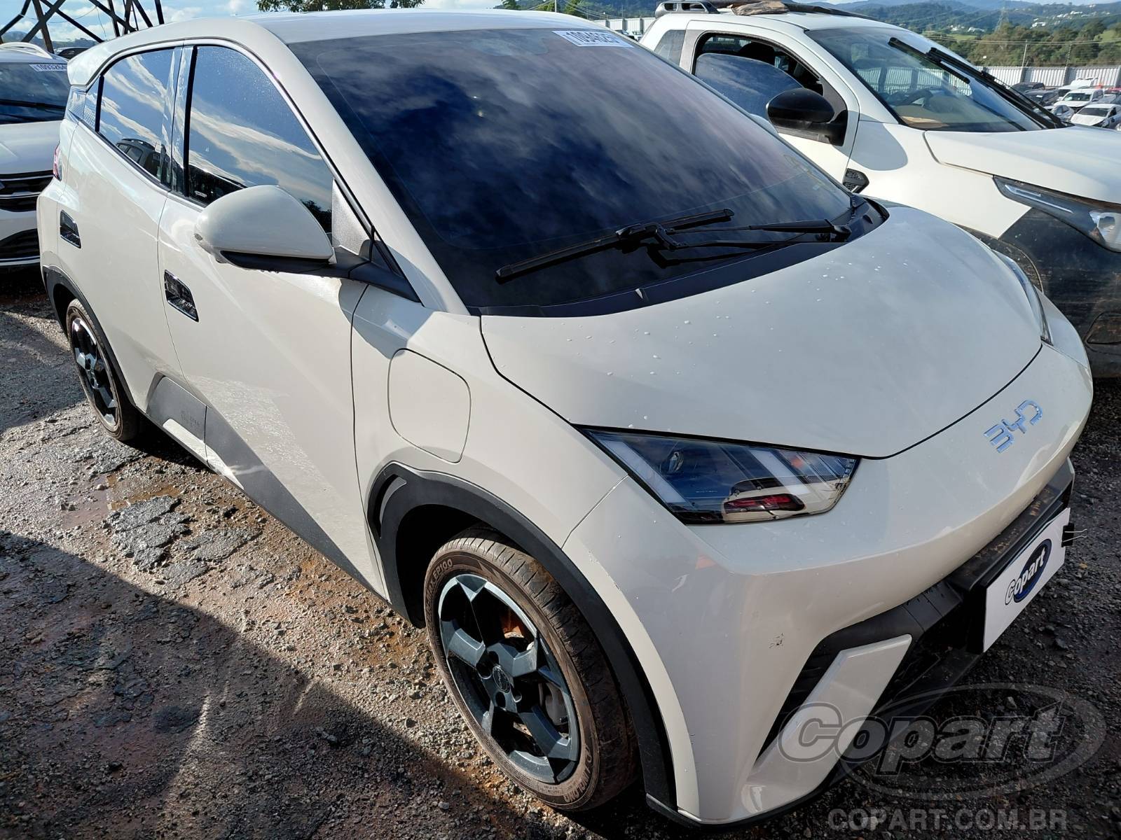 Veículo BYD DOLPHIN MINI BYD Dolphin Mini 2025 2025 em leilão