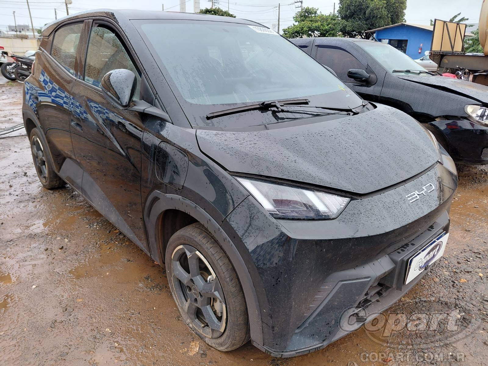 Veículo BYD DOLPHIN MINI BYD Dolphin Mini EV GS 55 kW 2025 2025 em leilão