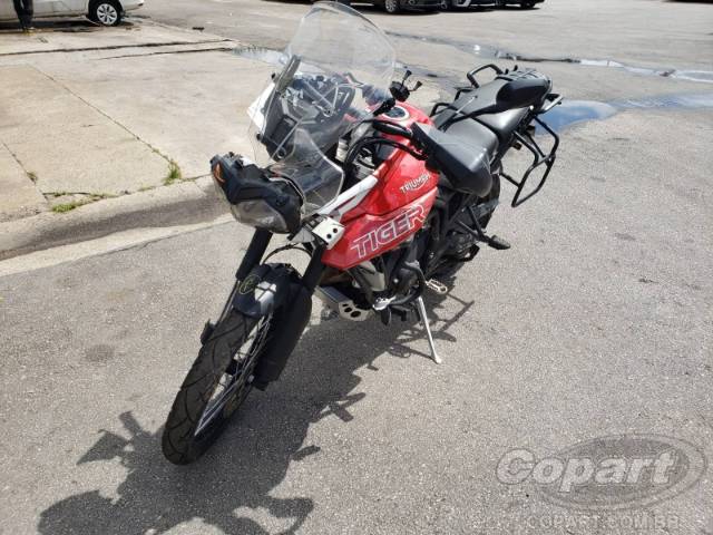 2019 TRIUMPH TIGER 