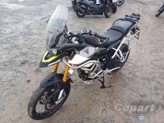 2024 TRIUMPH TIGER 
