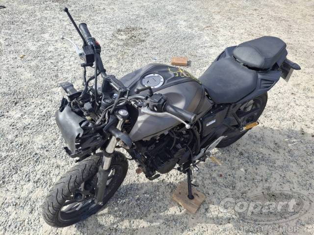 2024 YAMAHA FZ25 FAZER 