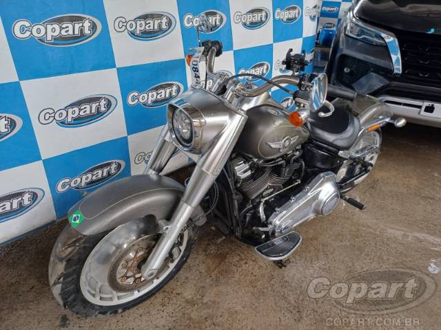 2019 HARLEY-DAVIDSON SOFTAIL 