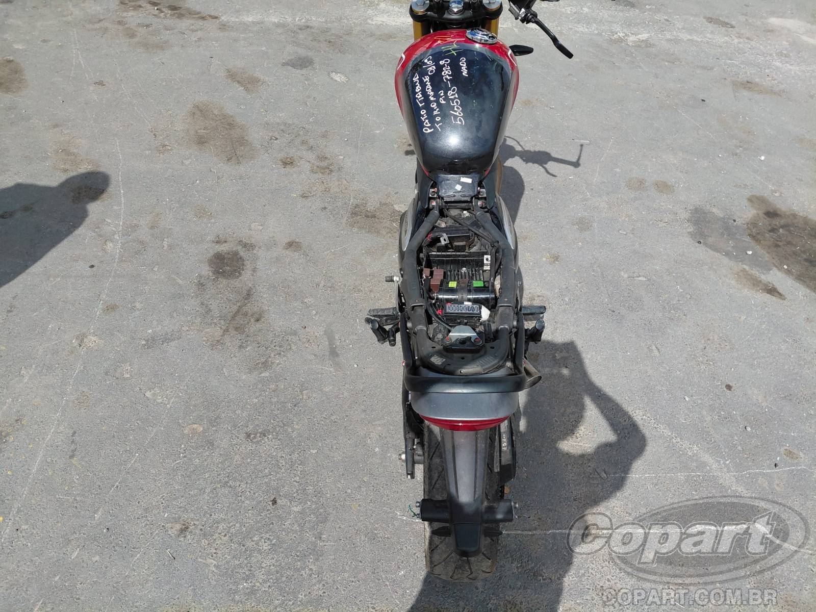 2025 TRIUMPH SPEED — foto 10 de 10