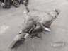 2024 BAJAJ DOMINAR 