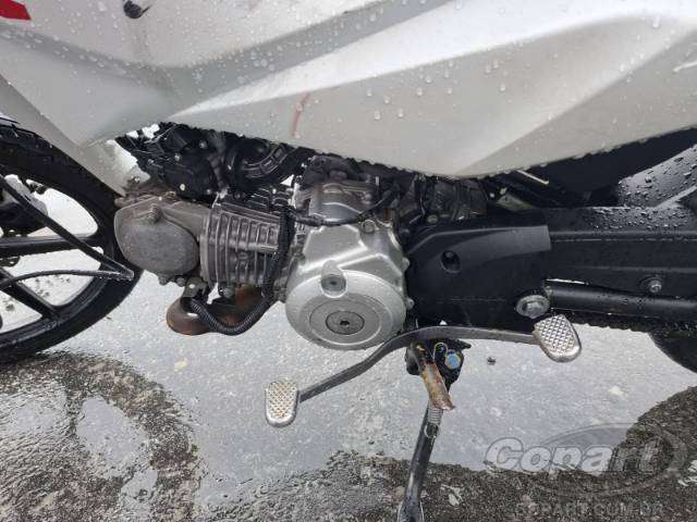 2025 HONDA POP 