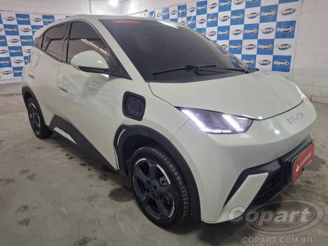 2024 BYD DOLPHIN MINI 