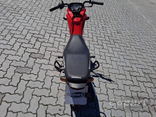2024 HONDA POP 