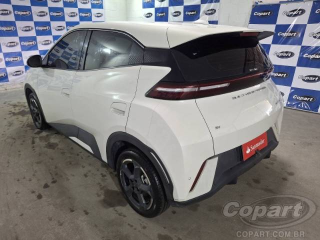 2025 BYD DOLPHIN MINI 