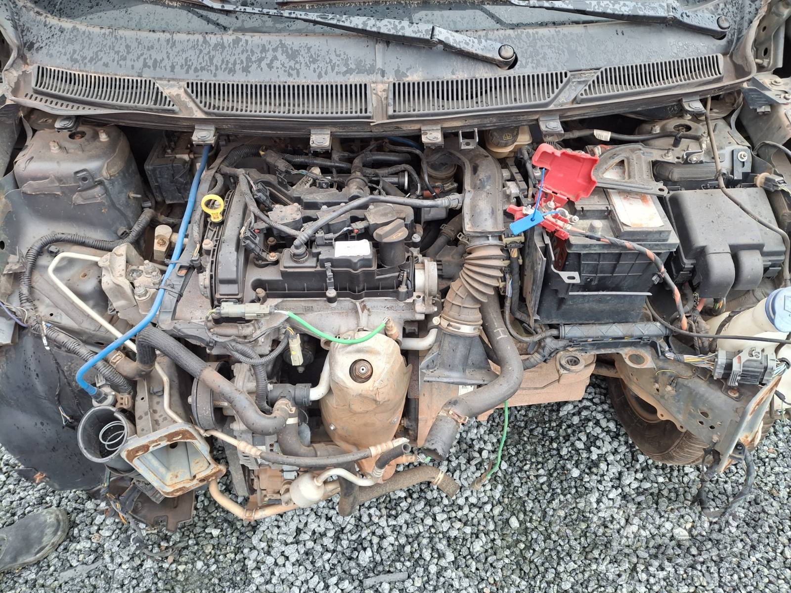 Foto 7 de 12: 2020 FORD KA