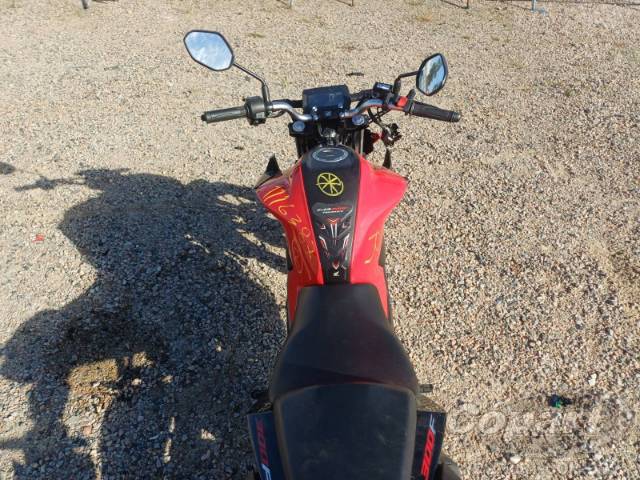 2023 HONDA CB 300F 