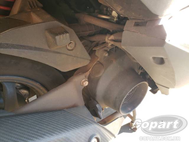 2024 HONDA ELITE 