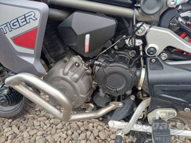 2025 TRIUMPH TIGER 