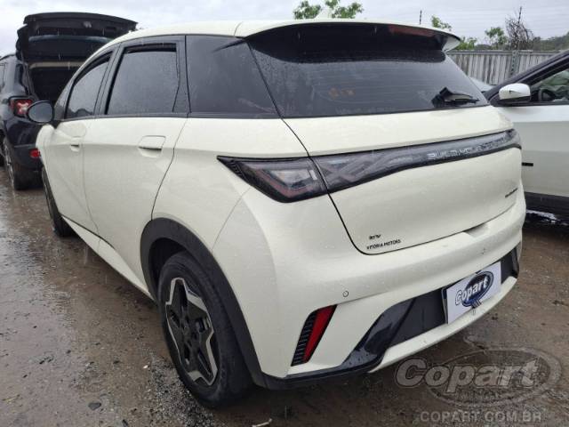 2025 BYD DOLPHIN 