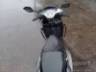 2026 HONDA ELITE 