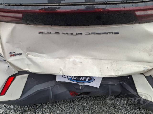 2025 BYD DOLPHIN MINI 