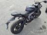 2024 TRIUMPH DAYTONA 