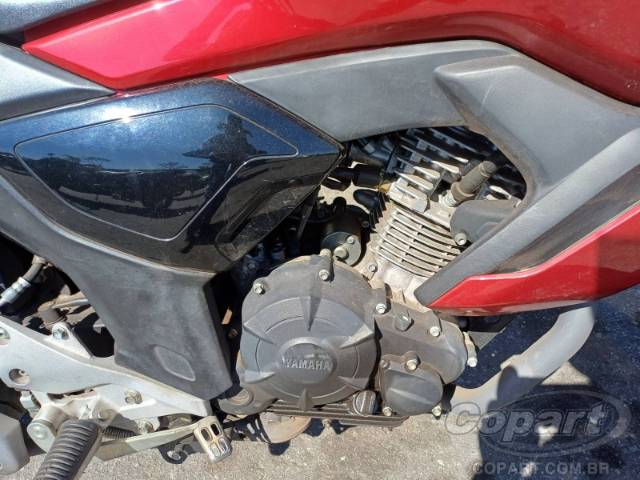 2024 YAMAHA FZ15 