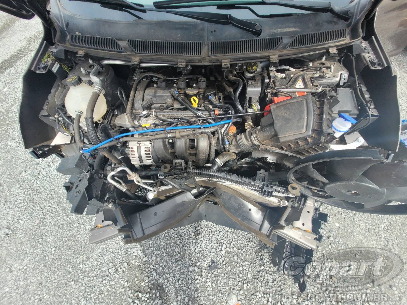 Foto 7 de 10: 2020 FORD KA