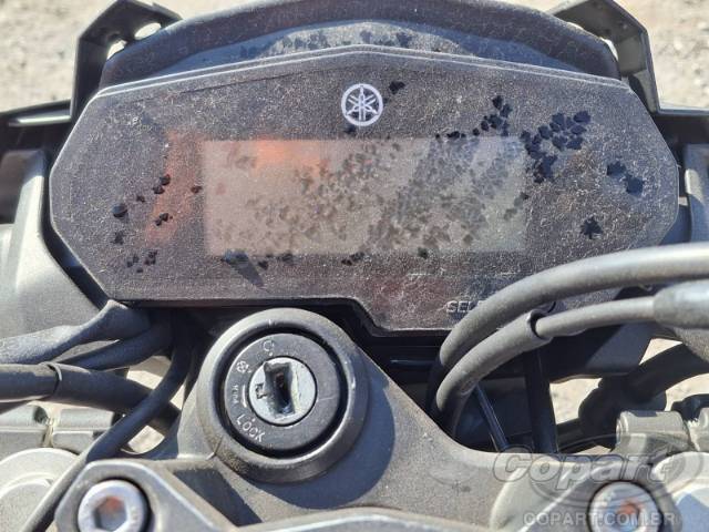 2024 YAMAHA FZ25 FAZER 