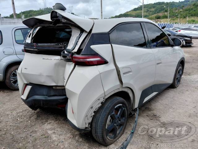2025 BYD DOLPHIN MINI 