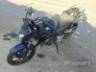 2025 HONDA CB 300F 