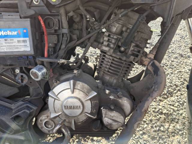 2019 YAMAHA YBR 125I FACTOR 