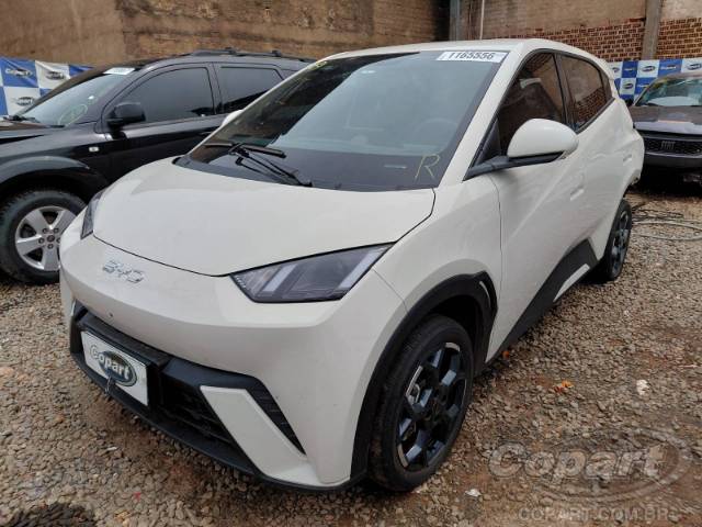 2026 BYD DOLPHIN MINI 