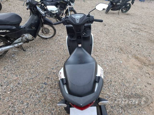2024 YAMAHA FLUO 