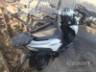 2019 HONDA ELITE 