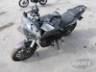 2024 BAJAJ DOMINAR 