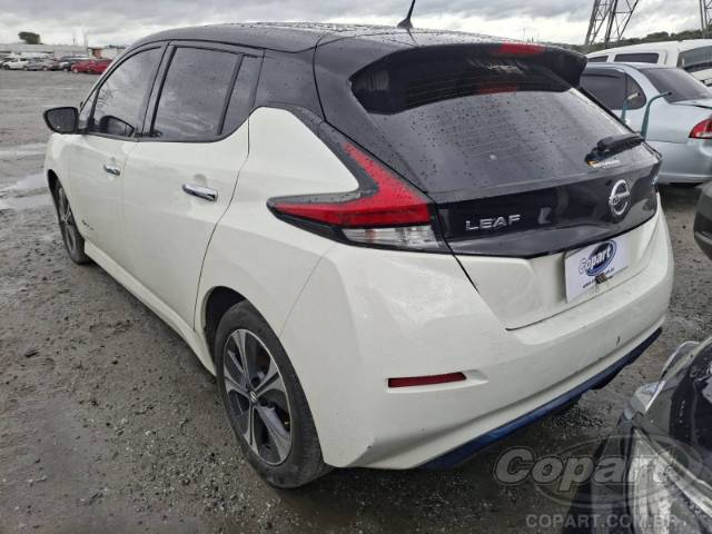 2020 NISSAN LEAF 