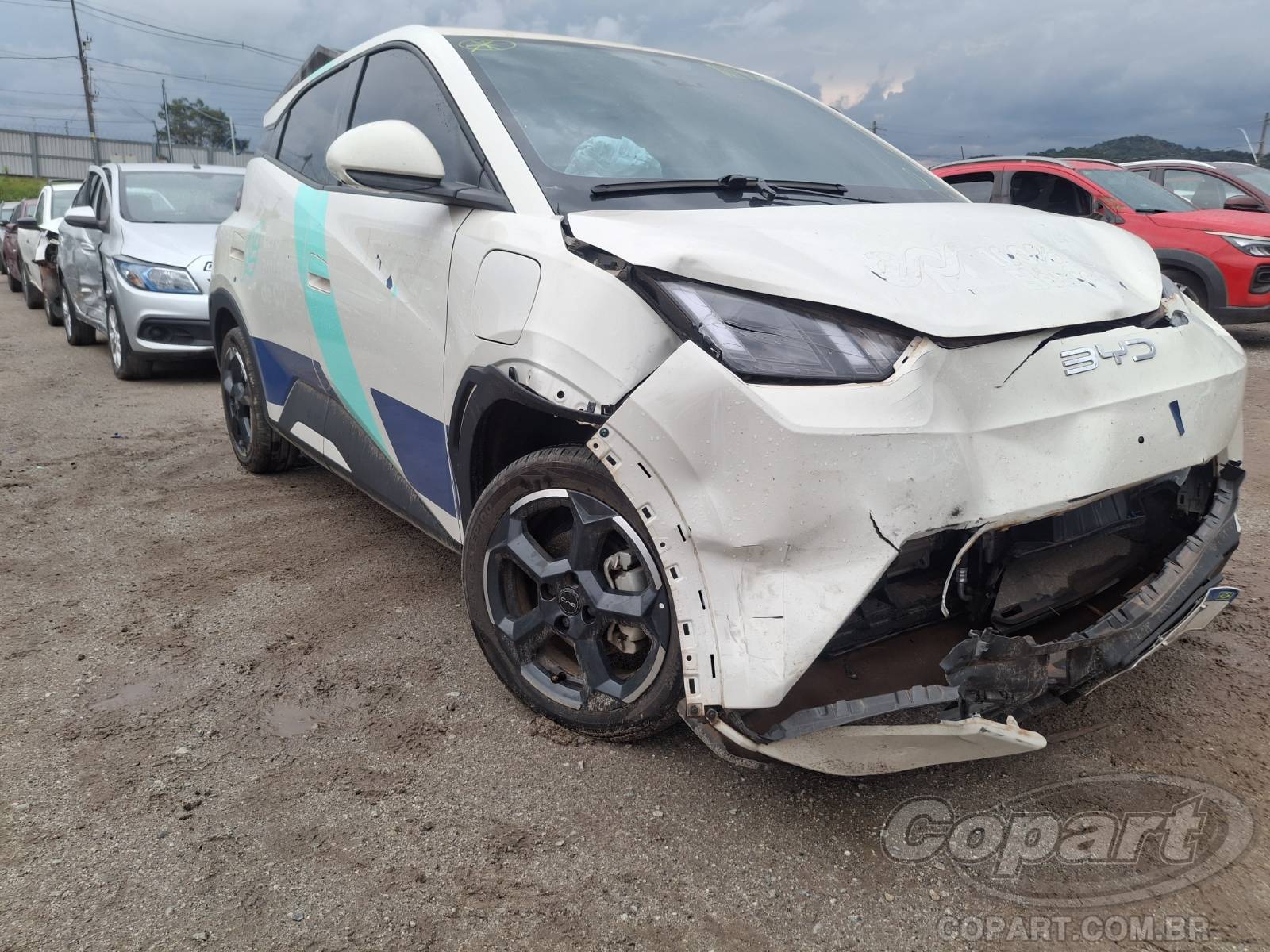 BYD DOLPHIN MINI