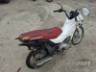 2024 HONDA POP 