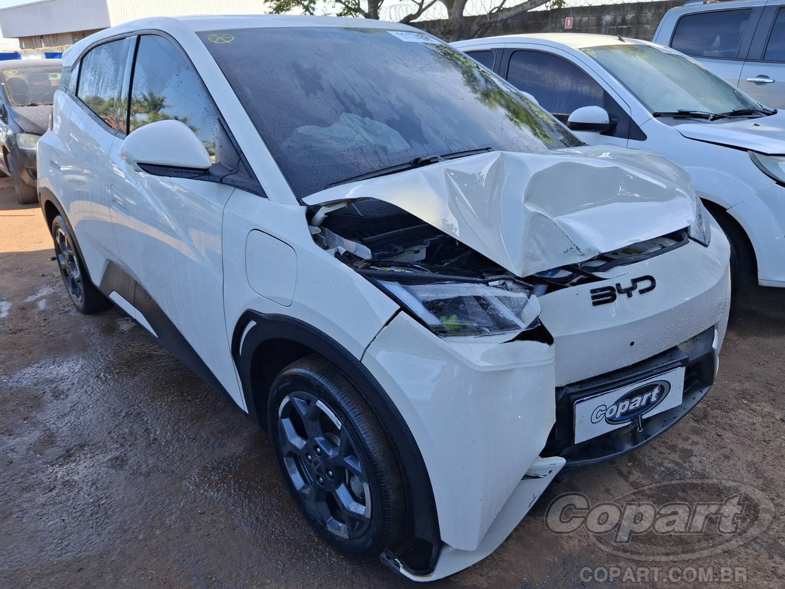 BYD Dolphin Mini 2026