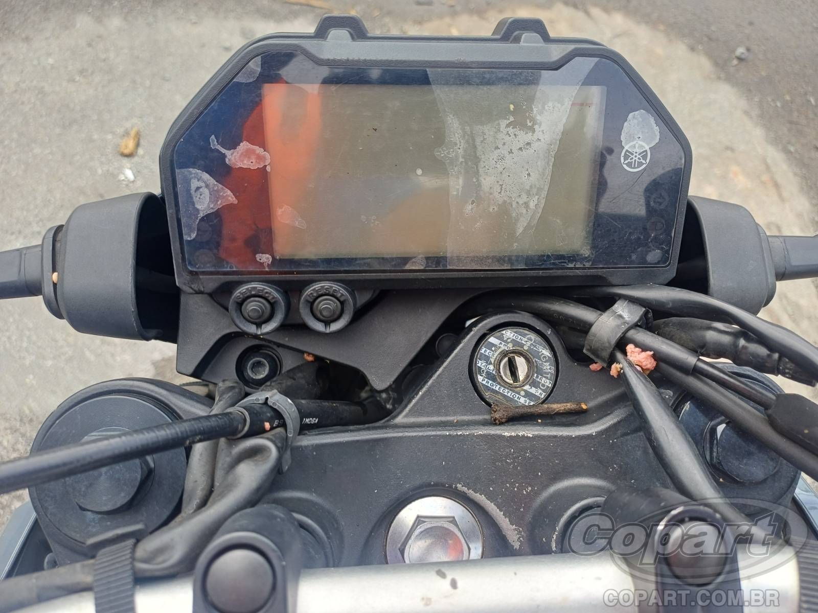 Foto 9 de 10: 2023 YAMAHA MT-03