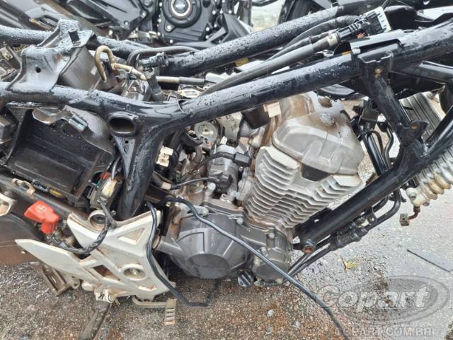 2023 HONDA CB 300F 